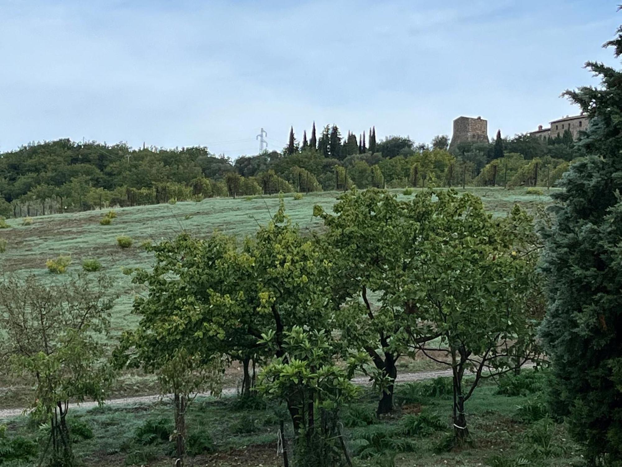 Agriturismo Le Querciole In Val D'Orcia بانيو فينيوني المظهر الخارجي الصورة