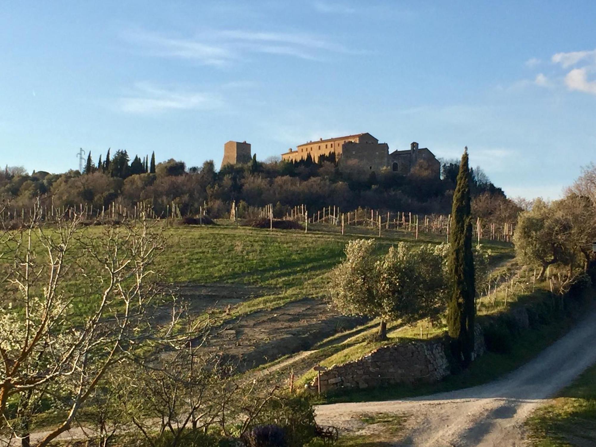 Agriturismo Le Querciole In Val D'Orcia بانيو فينيوني المظهر الخارجي الصورة
